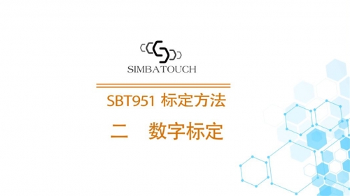 SBT951数字标定720P